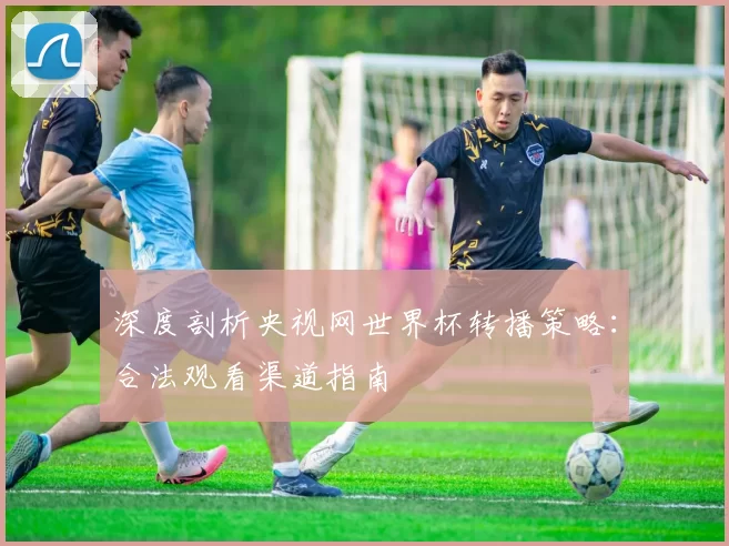 深度剖析央视网世界杯转播策略:合法观看渠道指南