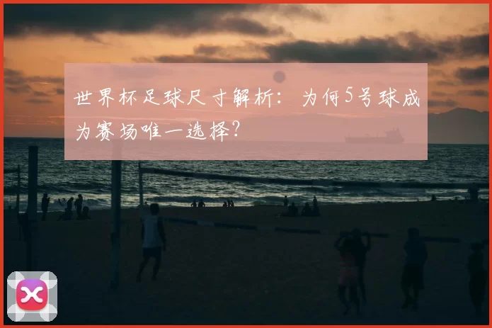 世界杯足球尺寸解析：为何5号球成为赛场唯一选择？