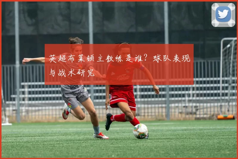 英超布莱顿主教练是谁?球队表现与战术研究