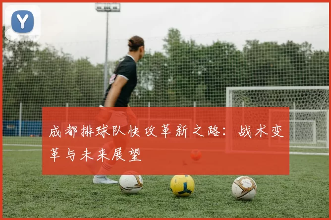 成都排球队快攻革新之路:战术变革与未来展望