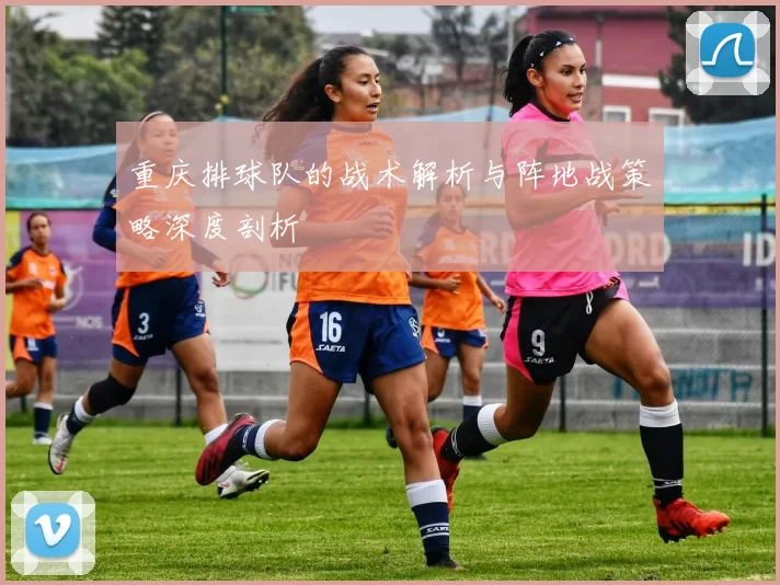重庆排球队的战术解析与阵地战策略深度剖析
