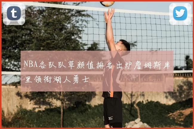 NBA各队队草颜值排名出炉詹姆斯库里领衔湖人勇士