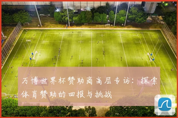 万博世界杯赞助商高层专访：探索体育赞助的回报与挑战