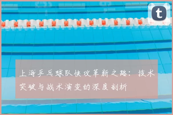 上海乒乓球队快攻革新之路:技术突破与战术演变的深度剖析