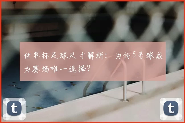 世界杯足球尺寸解析:为何5号球成为赛场唯一选择?