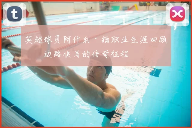 英超球员阿什利·扬职业生涯回顾，边路快马的传奇征程