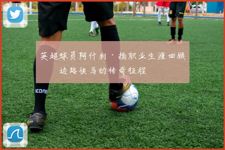 英超球员阿什利·扬职业生涯回顾,边路快马的传奇征程