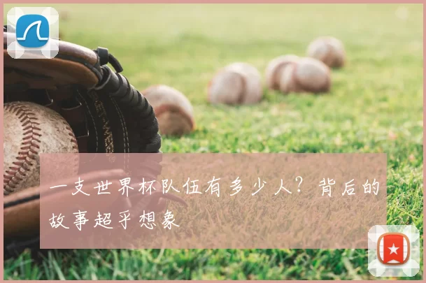 一支世界杯队伍有多少人？背后的故事超乎想象