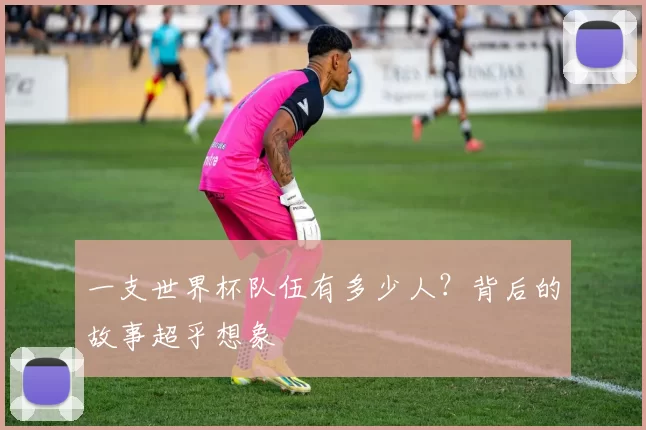 一支世界杯队伍有多少人?背后的故事超乎想象