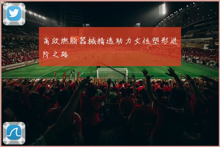 高效燃脂器械精选助力女性塑形进阶之路