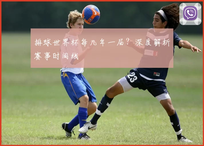 排球世界杯每几年一届?深度解析赛事时间线
