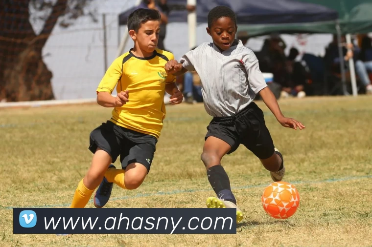 篮球下注平台生态图